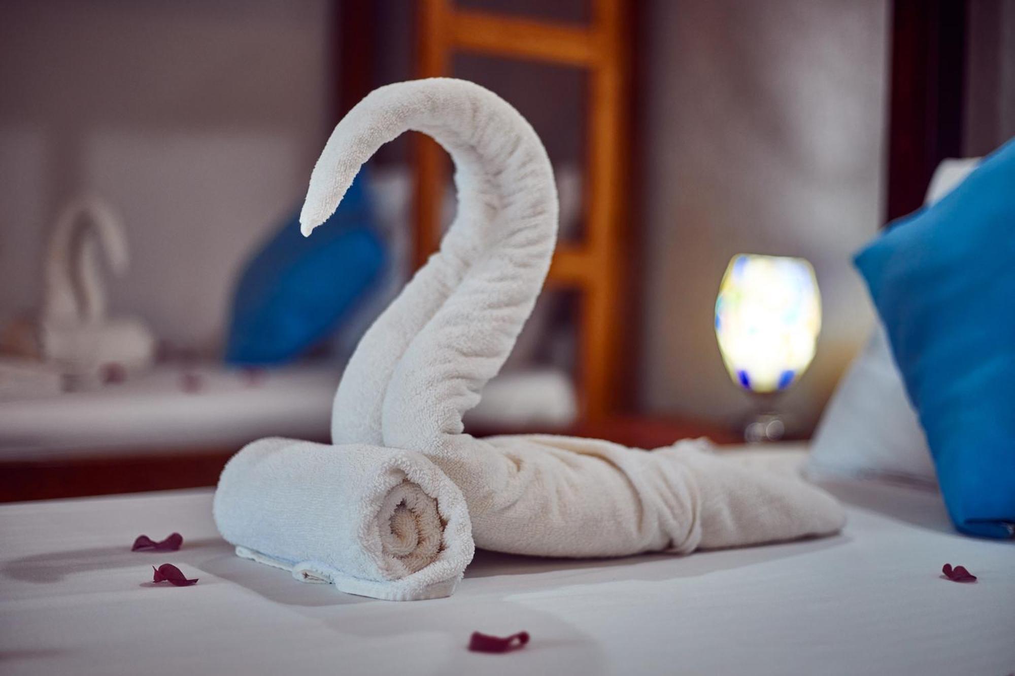 Emerald Dreams Boutique Hotel Michamvi المظهر الخارجي الصورة
